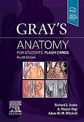 Gray’s Anatomy for Students Flashcards PDF Free Download