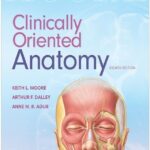 Moores-Clinically-Oriented-Anatomy-8th-Edition-min