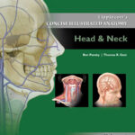Lippincott’s Concise Illustrated Anatomy Head and Neck Volume 3