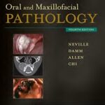Oral and Maxillofacial Pathology 4th Edition PDF
