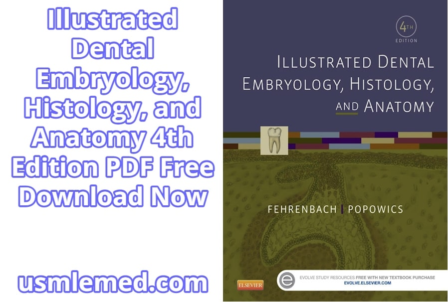 Illustrated Dental Embryology, Histology, and Anatomy 4th Edition PDF Free Download (Direct Link)