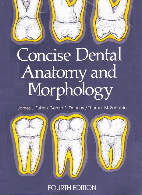Concise Dental Anatomy and Morphology 4th edition PDF Free Download (Direct Link)