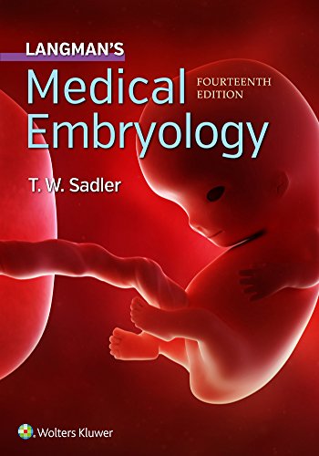 Langman’s medical embryology 14th Edition PDF Free Download (Direct Link)