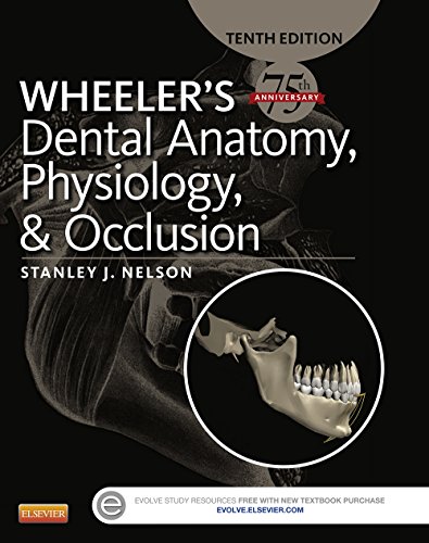 Wheeler’s Dental Anatomy Physiology and Occlusion 10th Edition PDF Free Download (Direct Link)