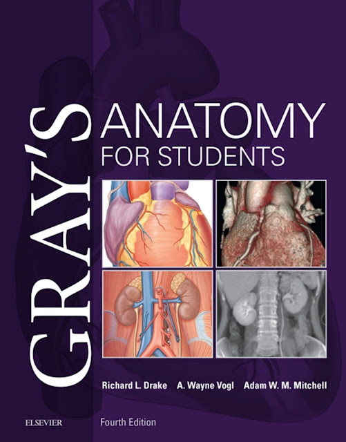 Gray’s Anatomy for Students 4th Edition PDF Free Download (Direct Link)