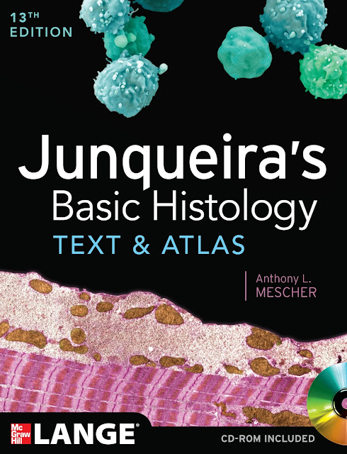 Junqueira’s Basic Histology Text and Atlas 13th Edition PDF Free Download (Direct Link)