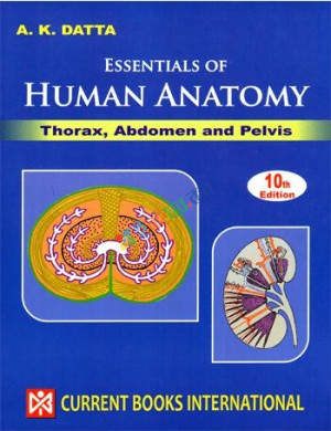 Essentials of Human Anatomy by AK Datta